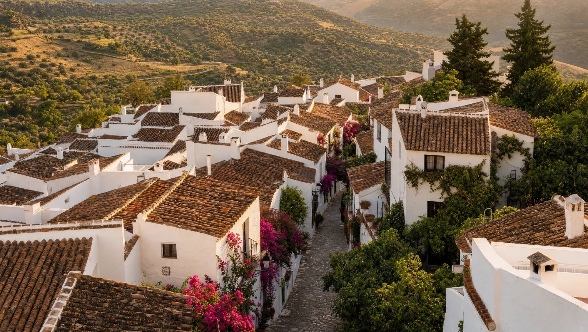 Hidden courtyard with bougainvillea in Marbella old town, morning light